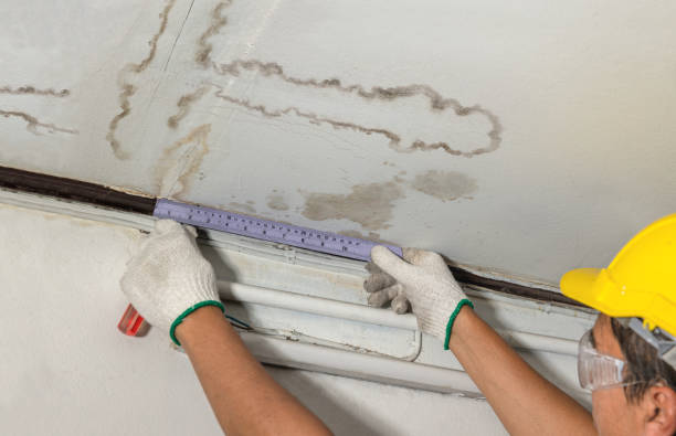 Reliable Mold Remediation contractor in Monterey Park, CA by Water Damage Irwin